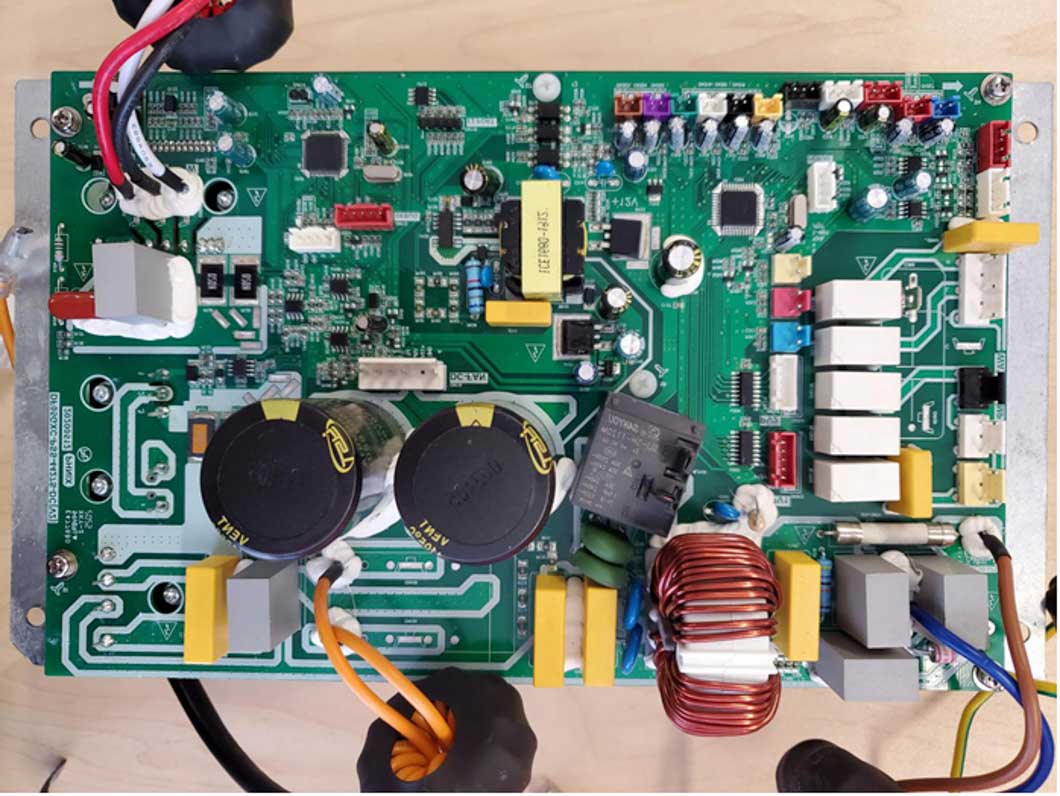 芬尼移植程序獲突破性進展